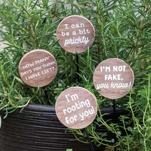 I'm Rooting For You Houseplant Poke, 4 Asstd.