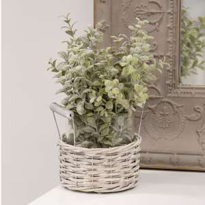 Medium Gray Willow Basket & Vase #BB9S4561