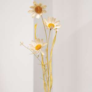 Wispy Late Summer Daisy & Dried Grass Spray 18384;