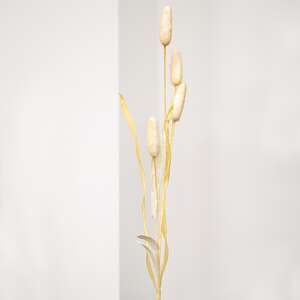 Wispy Late Summer Bunny Tail & Dried Grass Spray