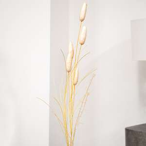 Late Summer Bunny Tail & Dried Grass Spray