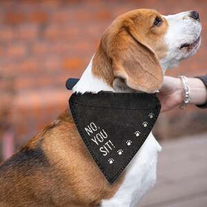 No, You Sit! Dog Bandana 54073;