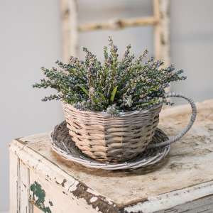 Willow Cup and Saucer BB6A200