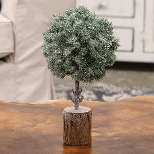 Frosted Balsam Fir Topiary, 10" 18417;