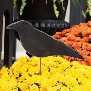 Wooden Crow Planter Stake, 4" 38057;
