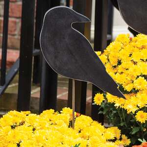 Wooden Crow Planter Stake, 6.5"H 38059;