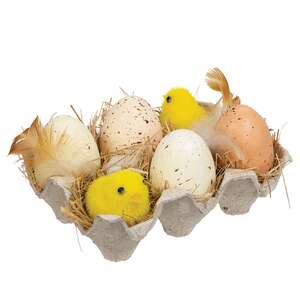 Natural Speckled Eggs & Chick in Crate