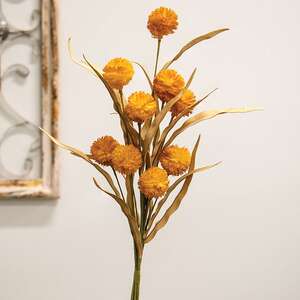 Fall Grass & Billy Ball Spray, Mustard 18435;
