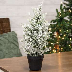 Snowy Juniper Tree in Pot, 19" SR2319201;