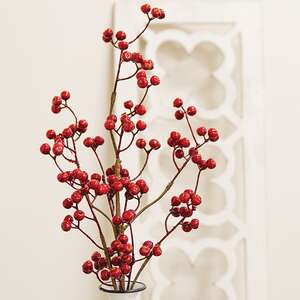 Winter Gooseberry Spray, 26" ;