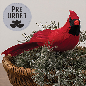 Red Feathered Cardinal Clip, 10" SR726374