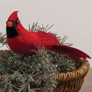 Red Feathered Cardinal Clip, 10" SR726374;