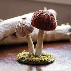 Woodland Brown Mushrooms Sitter, Small SYAX4002;