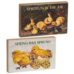 Spring Has Sprung Vintage Chick Block - 2 Asstd.