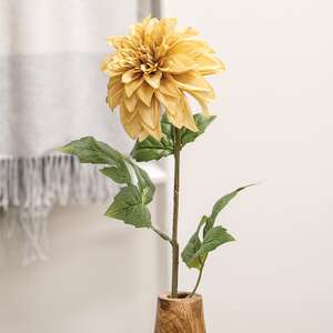 Teastain Dahlia Stem, 24" SR2320457T;