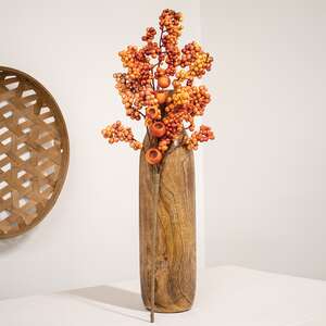 Bittersweet & Canella Berries Spray, 23" SR2320650;