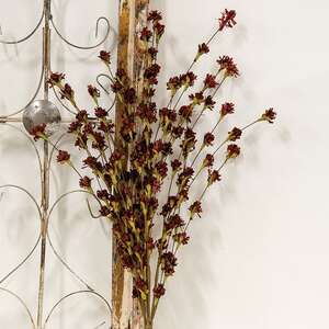 Fall Blossoms Spray, Burgundy, 24" SR2320665BG;