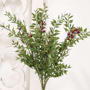 Lady Ruscus & Berries Bush, 19" SR2333298;