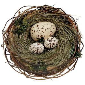 Speckled Egg Trio In Nest SHN5484;