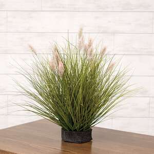 Onion Grass & Bunny Tail Pot Filler 18442;