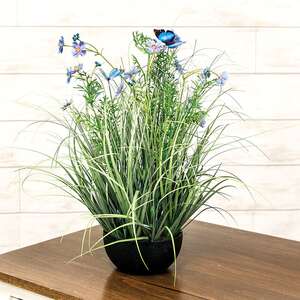 Potted Blue Cosmos w/ Onion Grass & Butterflies 18444;