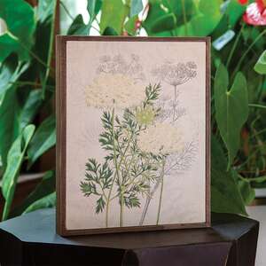 Queen Anne's Lace & Dill Botanical Box Sign 38255;