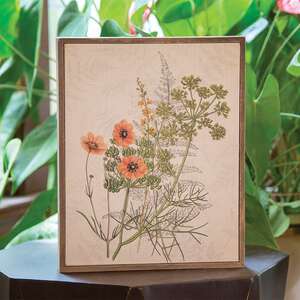 Coral Anemone & Dill Botanical Box Sign 38257;