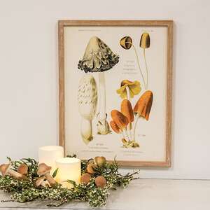 Vintage Scientific Mushroom Trio Framed Print 65381;