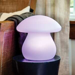 Multi-Function LED Mushroom Lamp 70198;