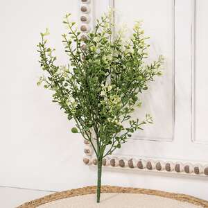 Cream Tipped Baby's Grass Bush, 14" ;