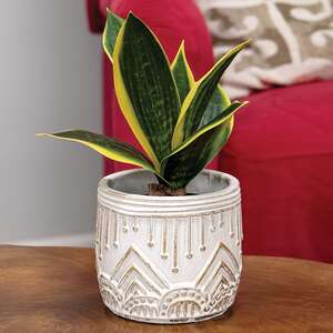 Gold Distressed White Aztec Embossed Cement Planter;