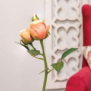 Blooming Peach Roses Pick, 17" HJ092508;