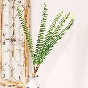Sword Fern Bundle, 27" JH102501;