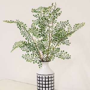 Maidenhair Fern Bush, 21.5" JH102503;