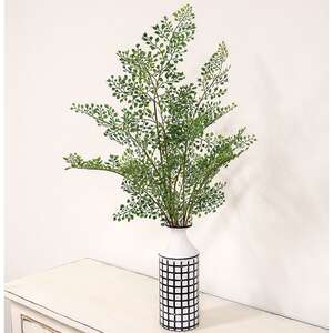 Maidenhair Fern Bush, 27" JH102504;