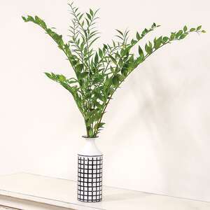 Vibrant Smilax Branch, 30" JH102505;