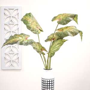 Perilla Leaf Speckled Bush, 24" QE15250;