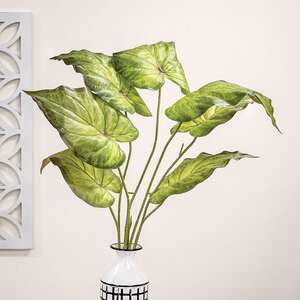 Perilla Leaf Bush, 24" QE15251;