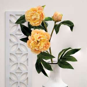 Peach Peony Spray, 30" QE15252;