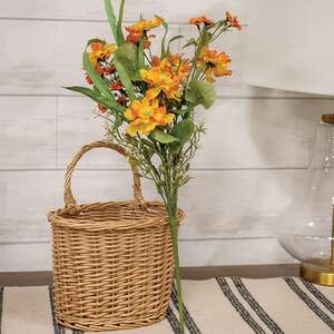 Dawn Chrysanthemum & Daisy Bush, 20" QE152537;