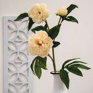 Cream Peony Spray, 30" ;