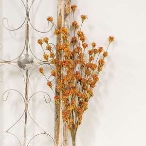 Fall Blossoms Spray, Rust, 24" SR2320665RU;