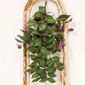 Day Flower Hanging Vine Bush, 25" T182504;