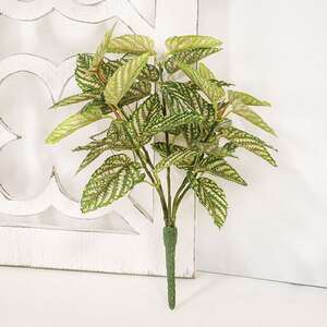 Pink Fittonia Leaves Bush, 13" T182506;