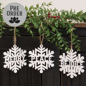 Sparkle Snowflake Word Ornament, 3 Asstd. 38767;