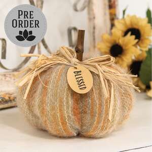 Stuffed Harvest Colors Blessed Sweater Pumpkin, 5"H CW4079;