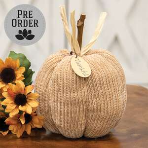 Beige Thankful Sweater Pumpkin, 5.5" Dia. JL24078;