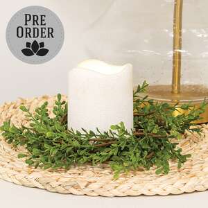 Baby Boxwood Candle Ring, 3.5" SA112577;