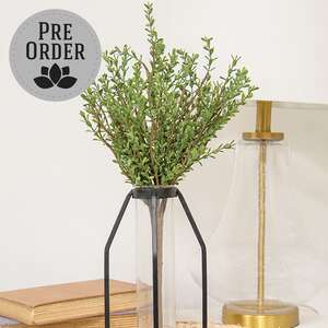 Baby Boxwood Bush, 16"H SA112579;