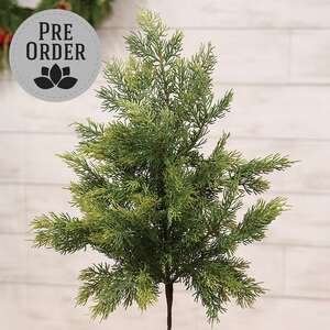 Weeping Cedar Spray, 24" SW032501;